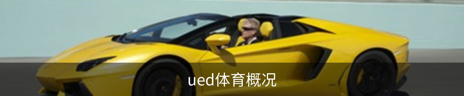 ued体育概况